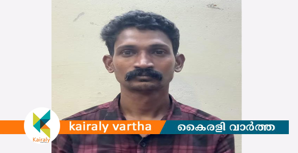 ഓട്ടോ ഡ്രൈവറുടെ പണം അപഹരിച്ച കേസിൽ ഒരാൾ അറസ്റ്റിൽ