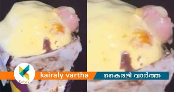 ഐസ്ക്രീമിൽ മനുഷ്യ വിരൽ കണ്ടെത്തിയ സംഭവം: കമ്പനിയുടെ ലൈസൻസ് സസ്പെൻഡ് ചെയ്തു