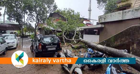 മുണ്ടക്കയത്ത് പോലീസ് സ്റ്റേഷന് മുകളിലേക്ക് മരം കടപുഴകി വീണു