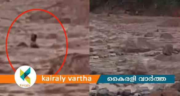 മണ്ണില്‍ പുതഞ്ഞ് ജീവന് വേണ്ടി നിലവിളി; ഒടുവിൽ സാഹസിക രക്ഷപ്പെടുത്തല്‍