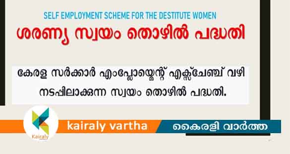 ശരണ്യ സ്വയം തൊഴിൽപദ്ധതി: 49 അപേക്ഷകൾക്ക് അംഗീകാരം നൽകി