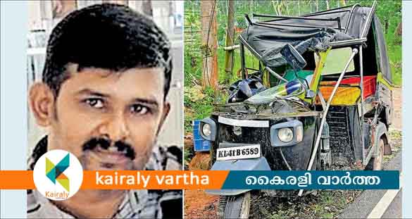 കടപുഴകി റോഡിൽ വീണ മരത്തിൽ ഓട്ടോയിടിച്ചു; ഡ്രൈവർക്ക് ദാരുണാന്ത്യം