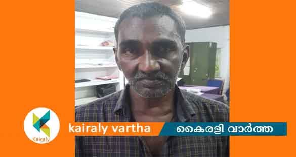 വീടുകയറി ലക്ഷങ്ങളുടെ സ്വർണമോഷണം: ഒളിവിൽ കഴിഞ്ഞിരുന്നയാൾ അറസ്റ്റിൽ