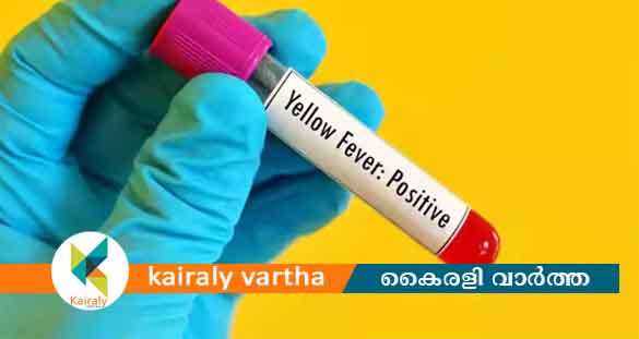 കോഴിക്കോട് ജില്ലയിൽ 5 പേർക്ക് കൂടി മഞ്ഞപ്പിത്തം സ്ഥിരീകരിച്ചു