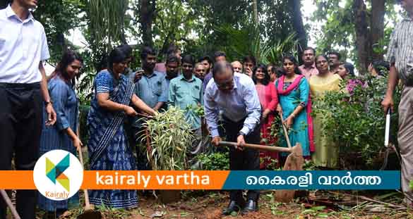 കോട്ടയം കളക്ട്രേറ്റ് പരിസരം മാലിന്യമുക്തമാക്കി ജീവനക്കാർ