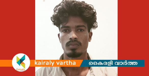 കാപ്പാ ചുമത്തി യുവാവിനെ കോട്ടയം ജില്ലയിൽ നിന്നും പുറത്താക്കി