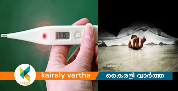 വൈക്കം, ടി.വി.പുരം മേഖലകളിൽ കുട്ടികളുടെ മരണം പകർച്ചപ്പനി മൂലമല്ല- ഡി.എം.ഒ.