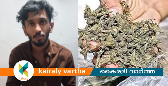 കൈയില്‍ കഞ്ചാവ്; ഓടിരക്ഷപ്പെടാന്‍ ശ്രമം; കെഎസ്‌യു നേതാവ് പിടിയില്‍