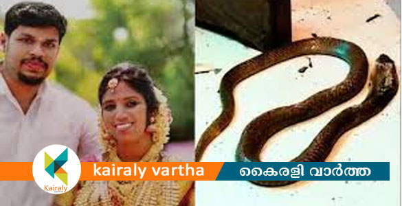 ഉത്ര വധക്കേസ്: വ്യാജ രേഖകൾ ഹാജരാക്കി പരോളിന് ശ്രമം; സൂരജിനെതിരെ കേസ്