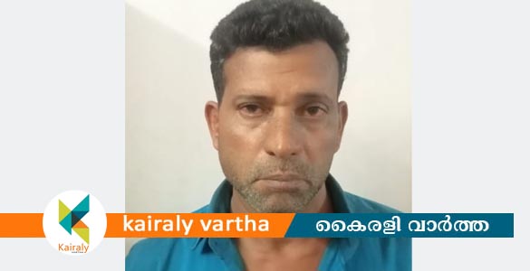 നിരോധിത പുകയില ഉൽപ്പന്നങ്ങൾ വിൽക്കുന്നതിനിടെ  യുവാവ് പിടിയിൽ