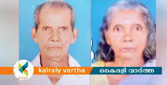 മാന്നാറിൽ വൃദ്ധ ദമ്പതികൾ മരിച്ചത് കൊലപാതകം; കുറ്റം സമ്മതിച്ച് മകൻ