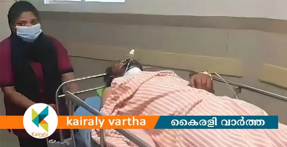 കാട്ടാന ആക്രമണം; കാലടി പ്ലാൻ്റേഷൻ തൊഴിലാളിക്ക് ഗുരുതര പരിക്ക്