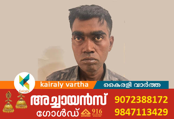 പുതുപ്പള്ളി കളരിക്കല്‍ ക്ഷേത്രത്തിൽ മോഷണം: യുവാവ് അറസ്റ്റിൽ