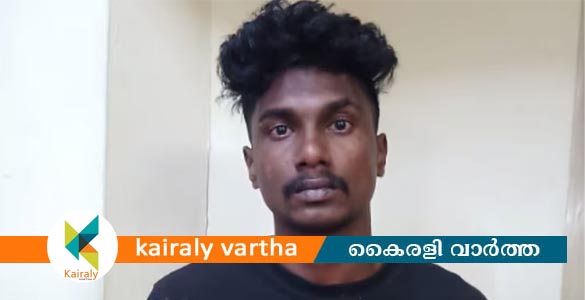 ചോറ്റാനിക്കരയിലെ പെൺകുട്ടിയുടെ മരണം: ആൺ സുഹൃത്തിനെതിരെ നരഹത്യാ കുറ്റം ചുമത്തി