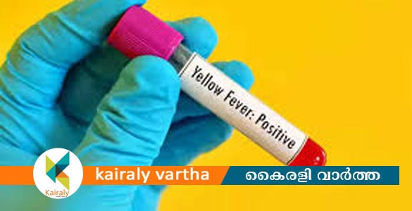 മഞ്ഞപ്പിത്തത്തിനെതിരെ ജാഗ്രത പുലർത്തണം- ഡി.എം.ഒ