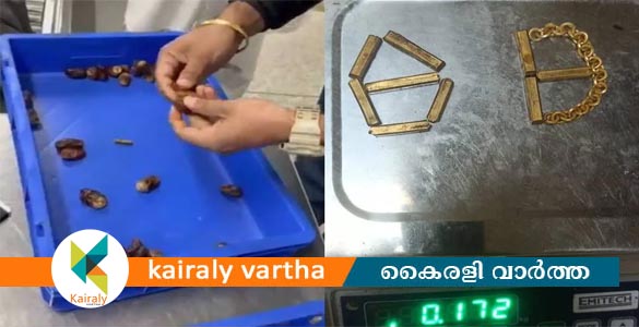 ഈന്തപ്പഴത്തിനുള്ളിൽ 'സ്വർണ്ണക്കുരു'; ഡൽഹി വിമാനത്താവളത്തിൽ യാത്രക്കാരൻ പിടിയിൽ