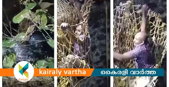 യുവാവിനെ കിണറ്റിൽ തള്ളിയിട്ട് വധിക്കാൻ ശ്രമം; ലഹരിക്കടിമയായ പ്രതിയെ പിടികൂടാതെ പോലീസ്