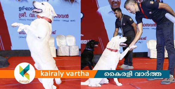 'എൻ്റെ കേരളം' മേള : കോട്ടയത്തിന് കാഴ്ചകളുടെ ആഘോഷവേള