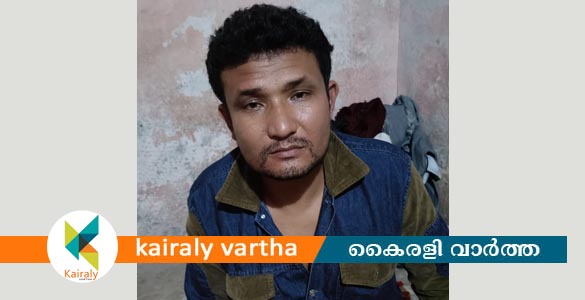 നാലര കിലോ കഞ്ചാവുമായി ആസ്സാം സ്വദേശി പിടിയിൽ