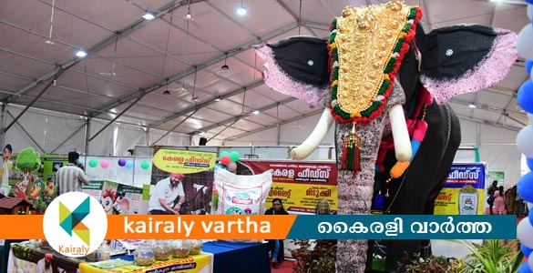 'ആനച്ചന്തം, ഇത് മേളച്ചന്തം'; എന്‍റെ കേരളം പ്രദര്‍ശന വിപണന മേളയില്‍ ഇലക്ടിക്ക് ആന