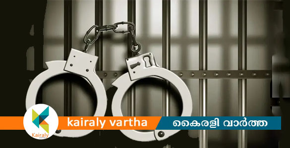 കോട്ടയം ജില്ലയിൽ ആദ്യമായി ഹൈബ്രിഡ് കഞ്ചാവ് പിടികൂടി ജില്ലാ പൊലീസിന്റെ ലഹരി വിരുദ്ധ സംഘം