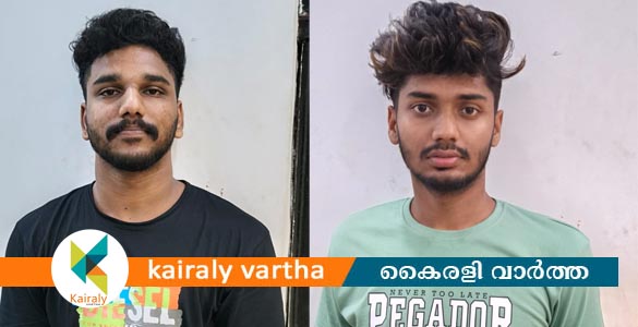 മുണ്ടക്കയത്ത് യുവതിയെയും സഹോദരനെയും ആക്രമിച്ച പ്രതികൾ പിടിയിൽ