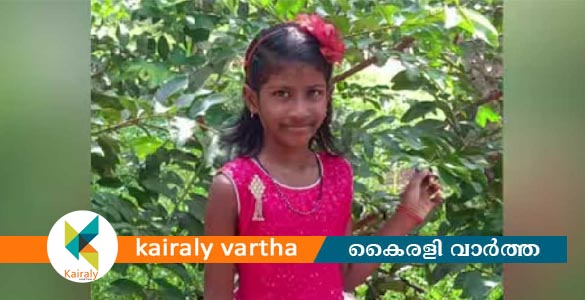പേവിഷ ബാധയേറ്റ് വീണ്ടും മരണം; ചികിത്സയിലായിരുന്ന 7 വയസുകാരി മരിച്ചു