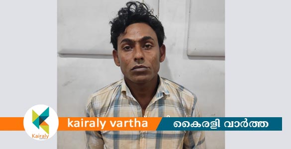 ഏറ്റുമാനൂരിൽ ബ്രൗൺ ഷുഗറുമായി അന്യസംസ്ഥാന തൊഴിലാളി പിടിയിൽ