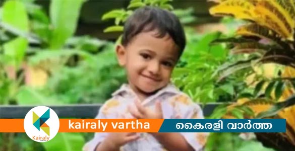 നിർത്തിയിട്ട കാർ ഉരുണ്ടിറങ്ങി രണ്ടരവയസ്സുകാരന് ദാരുണാന്ത്യം