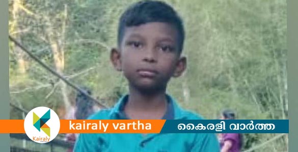 ഭക്ഷ്യവിഷബാധ? മൂന്നാറിൽ വിനോദ സഞ്ചാരത്തിനെത്തിയ സംഘത്തിലെ 9 വയസുകാരൻ മരിച്ചു