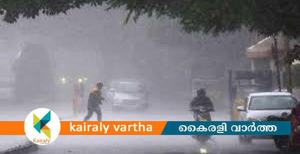 മഴക്കാല മുന്നൊരുക്കം: വൈക്കം താലൂക്കിൽ യോഗം ചേർന്നു