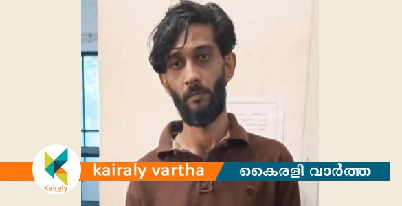 നിര്‍ത്തിയിട്ട ഓട്ടോറിക്ഷയിൽ നിന്നും ടാബും രേഖകളുമടങ്ങുന്ന ബാഗ് മോഷ്ടിച്ചു; പ്രതി പിടിയില്‍