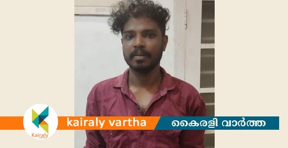 വീട്ടിൽ അതിക്രമിച്ചു കയറി വീട്ടമ്മയുടെ മാല കവർന്നു; പ്രതി പിടിയില്‍