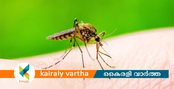 കൂട്ടിക്കൽ ഗ്രാമപഞ്ചായത്തിൽ ഞായറാഴ്ച ഡ്രൈ ഡേ ആചരിക്കും