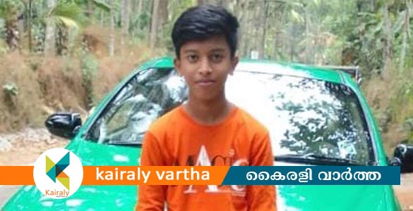 ഊട്ടിയില്‍ മരംവീണ് വിനോദ യാത്രയ്‌ക്കെത്തിയ 15-കാരന് ദാരുണാന്ത്യം