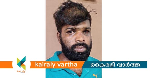 ഏറ്റുമാനൂരിൽ വീട്ടമ്മയെ ഉപദ്രവിച്ച് ആഭരണങ്ങൾ കവര്‍ന്ന കേസിൽ തമിഴ്നാടു സ്വദേശി പിടിയില്‍