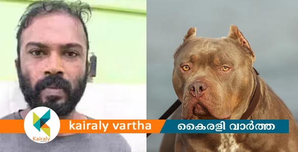 പരിഹസിച്ചെന്ന് തെറ്റിദ്ധരിച്ച് ആക്രമണം; യുവാവിനെ പിറ്റ്ബുള്ളിനെ വിട്ട് കടിപ്പിച്ചു, 36കാരൻ അറസ്റ്റിൽ