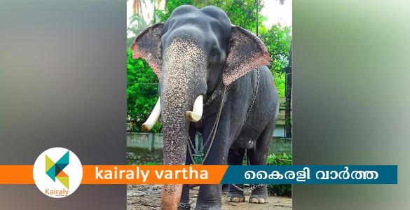 ഗുരുവായൂർ ദേവസ്വത്തിന്റെ കൊമ്പൻ ഗോപീകണ്ണൻ ചരിഞ്ഞു