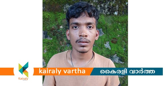 കൈപ്പുഴയിൽ വിൽപ്പനക്കായി കൈവശം വച്ച എംഡിഎംഎയുമായി യുവാവ് പിടിയിൽ