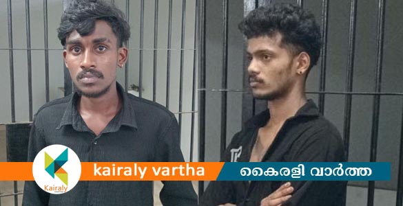 രാമപുരത്ത് എംഡിഎംഎയുമായി രണ്ടു യുവാക്കൾ അറസ്റ്റിൽ