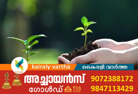 ഒരുതൈനടാം; ചങ്ങാതിക്കൊരുമരം: ജൂൺ 25 ന് ആരംഭിക്കും