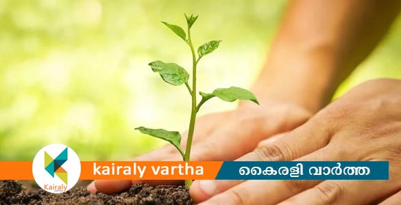 കാര്‍ഷിക സ്ഥിതി വിവരക്കണക്ക് സര്‍വേ ആരംഭിച്ചു