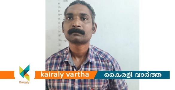 വൈക്കത്ത് വില്പനയ്ക്ക് സൂക്ഷിച്ച കഞ്ചാവുമായി ഒരാൾ പിടിയിൽ