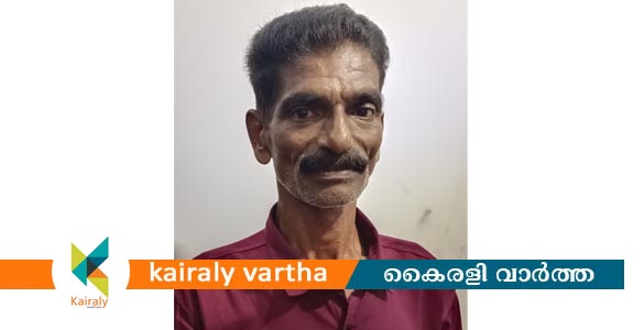ഒഡീഷയിൽ നിന്നും വില്പനയ്ക്കായി കൊണ്ട് വന്ന കഞ്ചാവുമായി ചങ്ങനാശ്ശേരി സ്വദേശി പിടിയിൽ