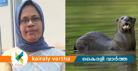 മീനച്ചിലാറ്റില്‍ തുണി കഴുകുന്നതിനിടെ നീർനായയുടെ കടിയേറ്റു; വീട്ടമ്മ കുഴഞ്ഞു വീണ് മരിച്ചു