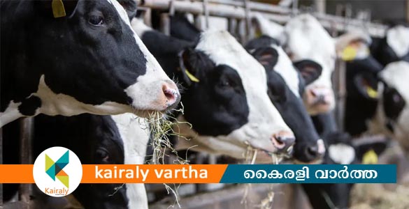 ക്ഷീരവര്‍ധനി റിവോള്‍വിങ് ഫണ്ട് പദ്ധതിയുടെ ഉദ്ഘാടനം ജൂലൈ 10ന്
