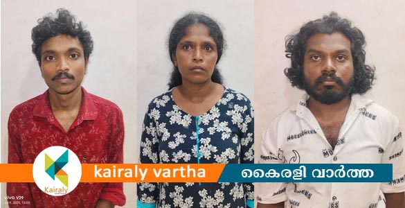കോട്ടയത്ത് വില്പനയ്ക്കായി എത്തിച്ച കഞ്ചാവുമായി സ്ത്രീ ഉൾപ്പെടെ 3 പേര്‍ പിടിയിൽ