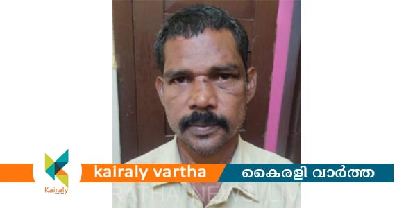 ഇലയ്ക്കാട് ക്ഷേത്രത്തിലെ മോഷണശ്രമം പരാജയപ്പെട്ടപ്പോൾ പ്രകോപനമുണ്ടാക്കി ലഹളക്ക് ശ്രമം നടത്തി; പ്രതി പിടിയിൽ