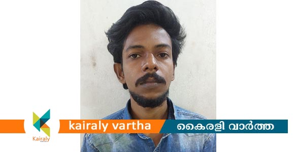 കാഞ്ഞിരപ്പള്ളി ഗവ. ജനറൽ ഹോസ്പിറ്റലിന്റെ സ്റ്റോർ റൂമിൽ അതിക്രമിച്ചു കയറി മോഷണം; പ്രതി അറസ്റ്റിൽ