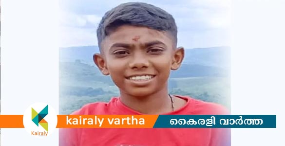 കോട്ടയത്ത് പനി ബാധിച്ച് ചികിത്സയിലായിരുന്ന എട്ടാം ക്ലാസ് വിദ്യാർഥി മരിച്ചു